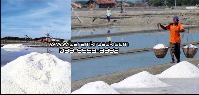 Jual Garam Kasar Murah Gresik untuk Kebutuhan Produksi